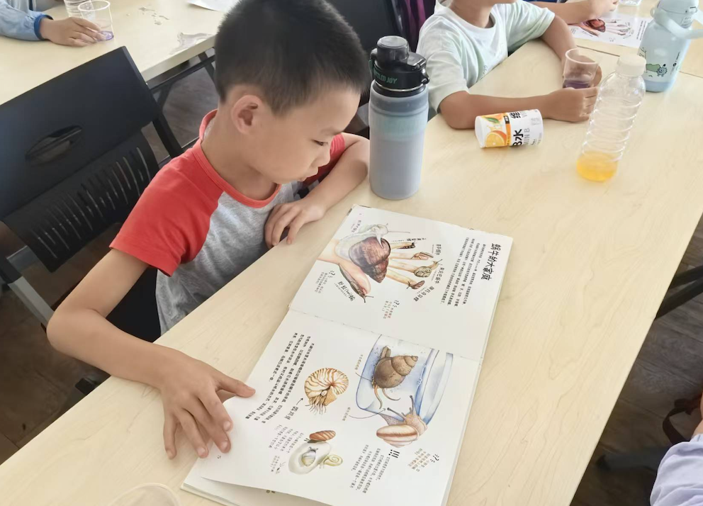 截屏2025-08-14 09 截屏2025-08-14 09