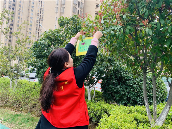 蛇盤(pán)社區(qū)黨總支: 愛(ài)綠護(hù)綠志愿行