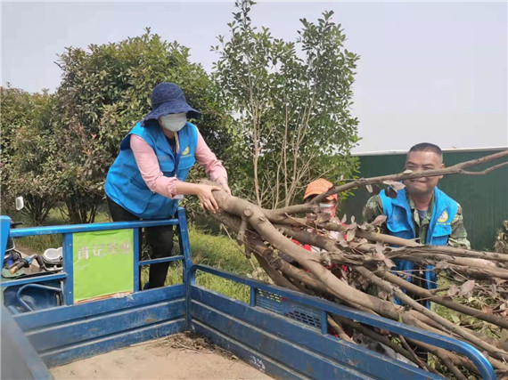 學(xué)黨史辦實(shí)事 公眾委員督查清理枯樹(shù)消隱患