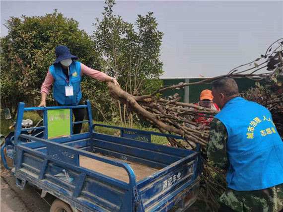 學(xué)黨史辦實(shí)事 公眾委員督查清理枯樹(shù)消隱患
