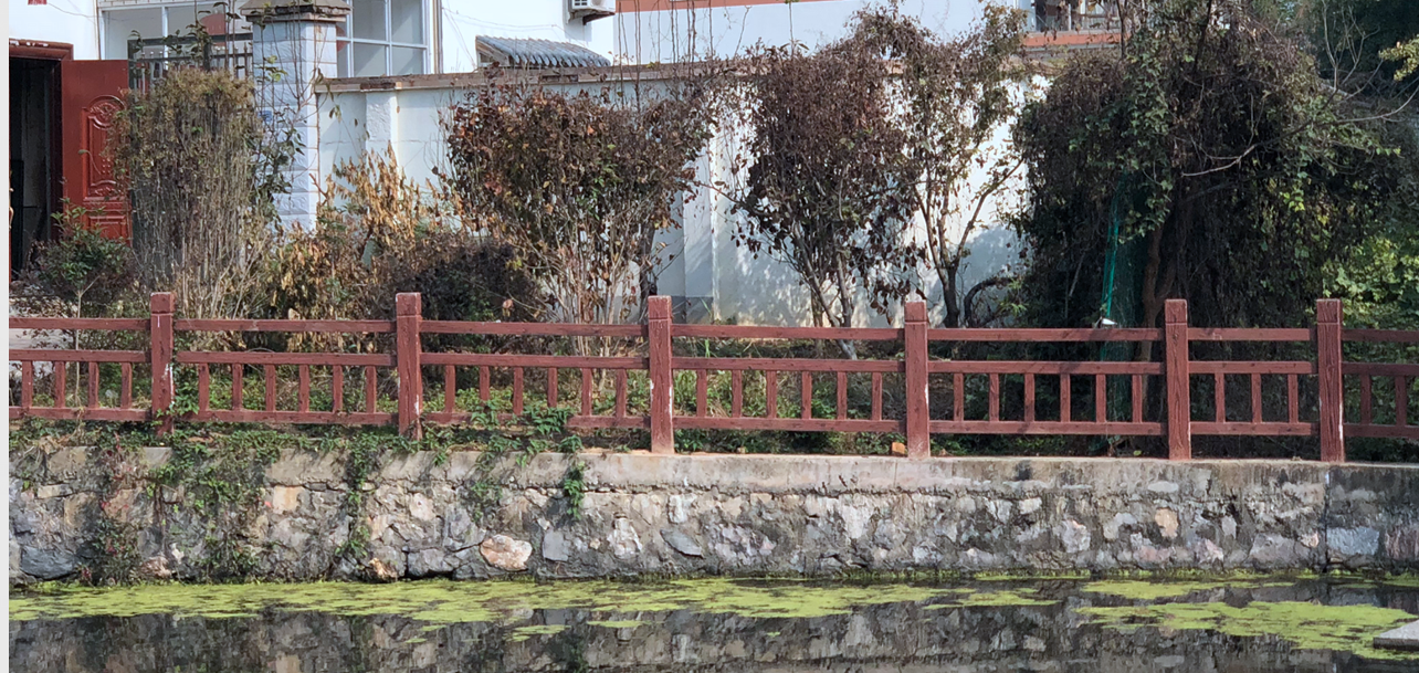 池塘邊的集體土地被人用來栽種果樹，還設(shè)置了柵欄。南報融媒體記者胥欣攝